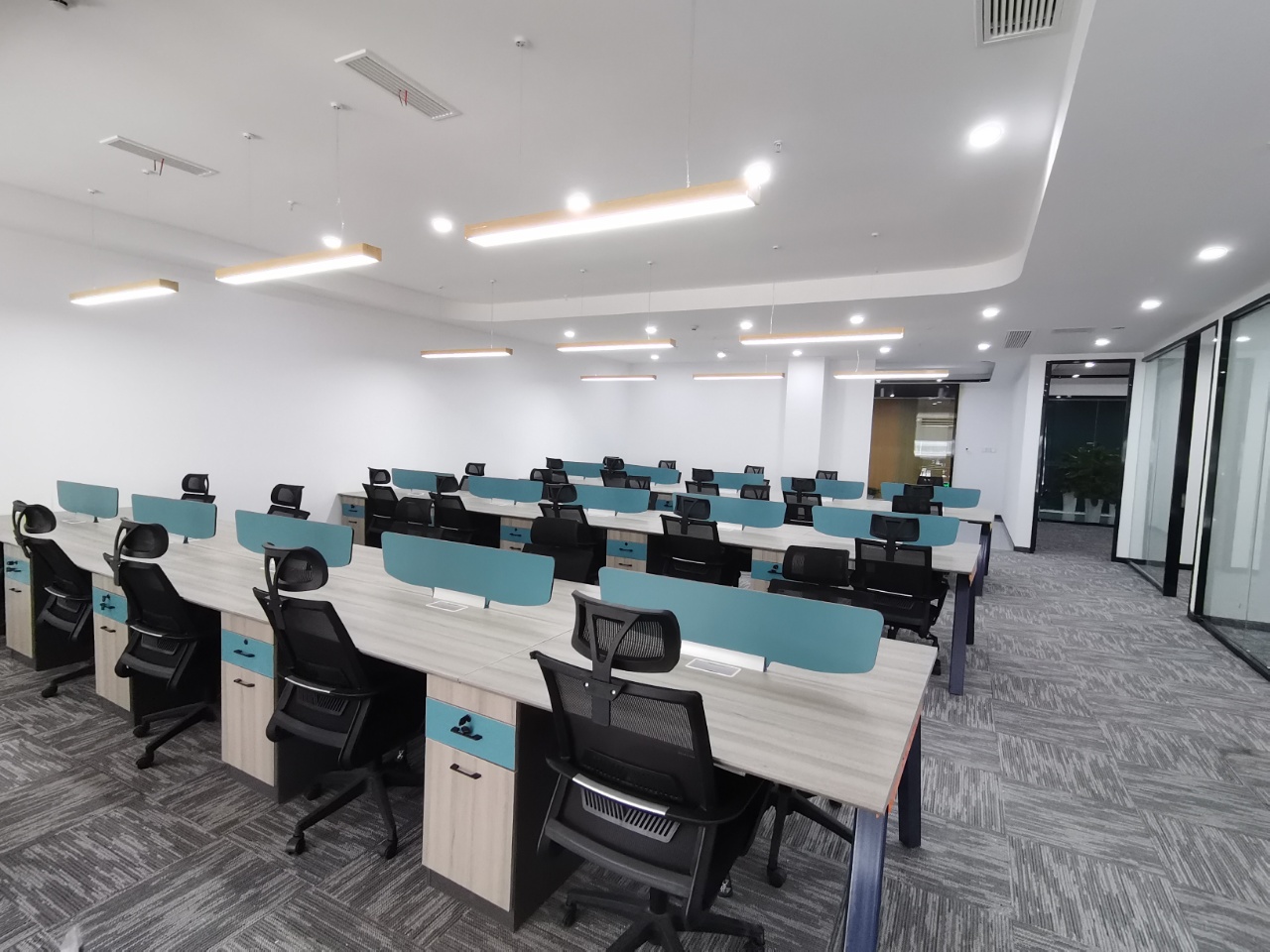 高新区新会展中心 大户型 5隔间+42卡位 全屋地毯铺设