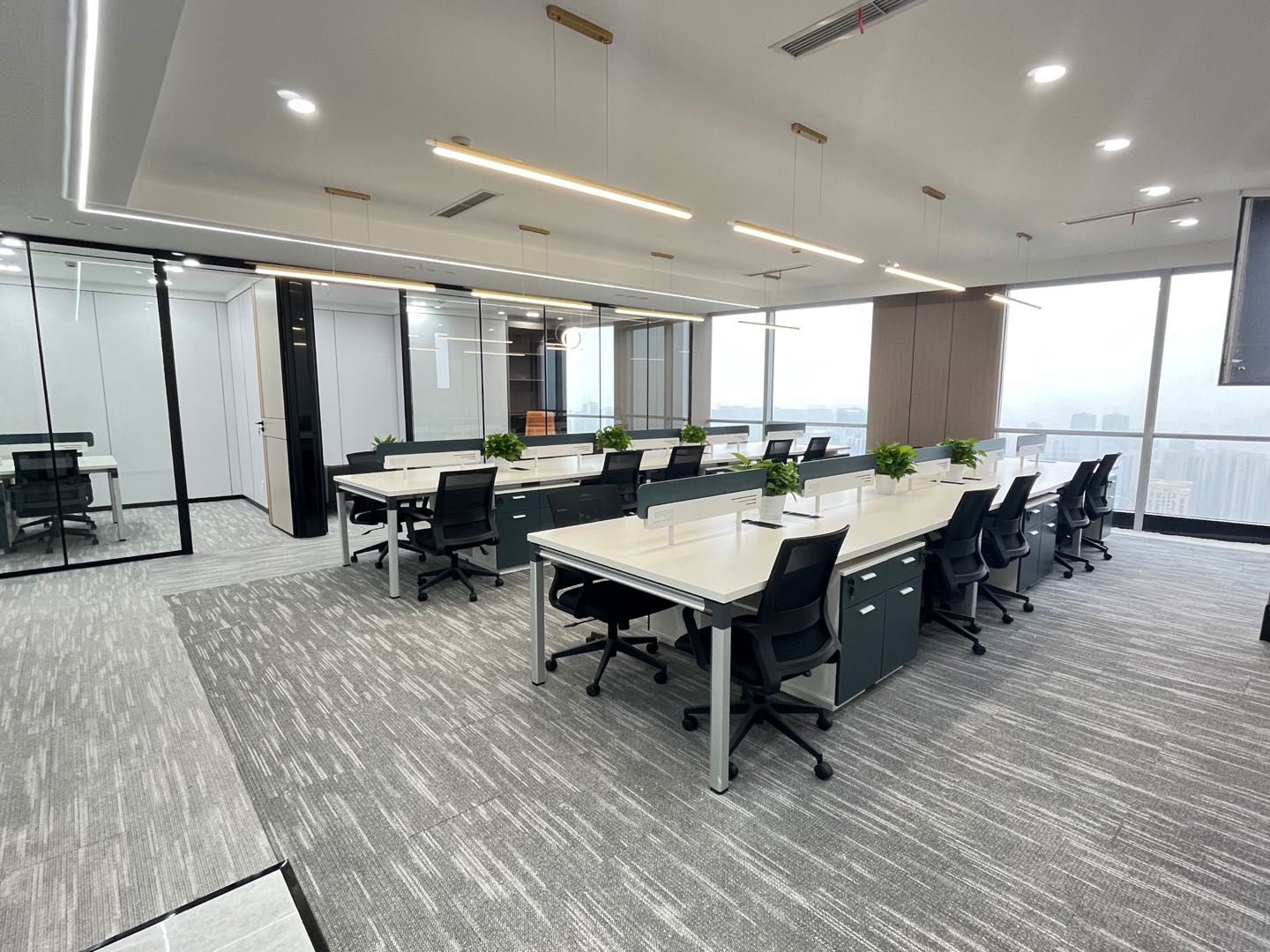 成都东部新区 大运会主场地 标志建筑 4隔间+20工位