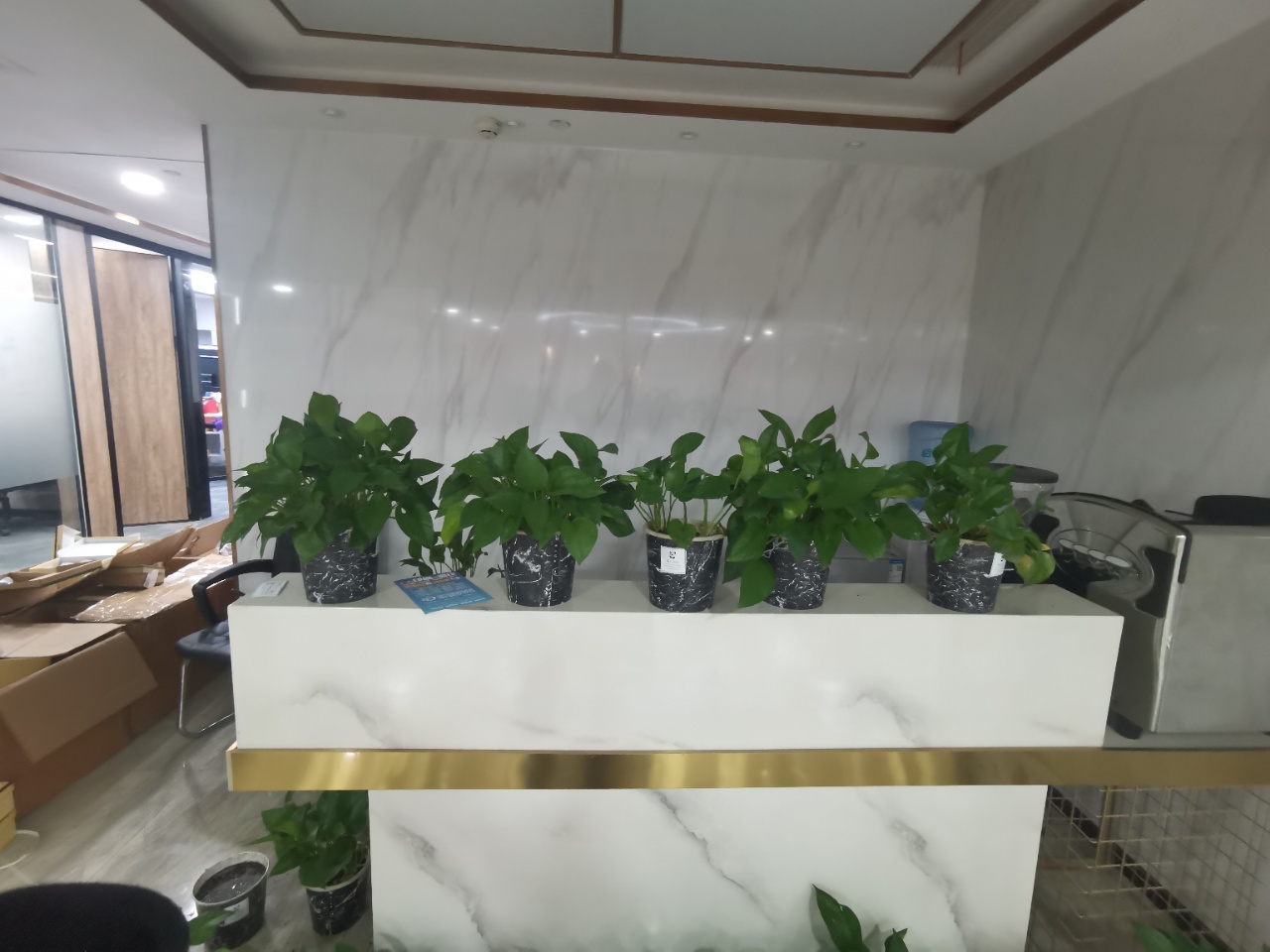 安格斯峰会中心5隔间20工位艺术精装带家具高区采光近地铁