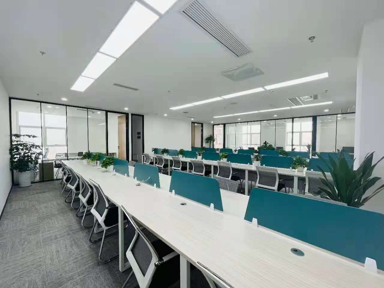 雄飞中心 335平米-户型方正-双面采光-多工位户型