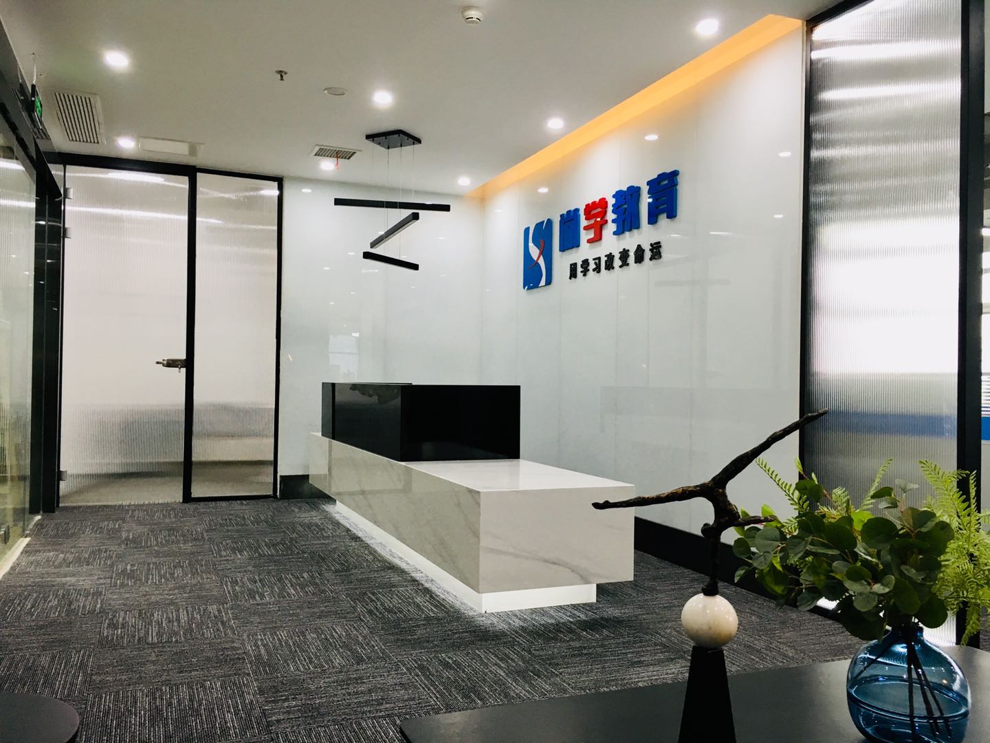 雄飞中心508平，精装修带家具，现代艺术风